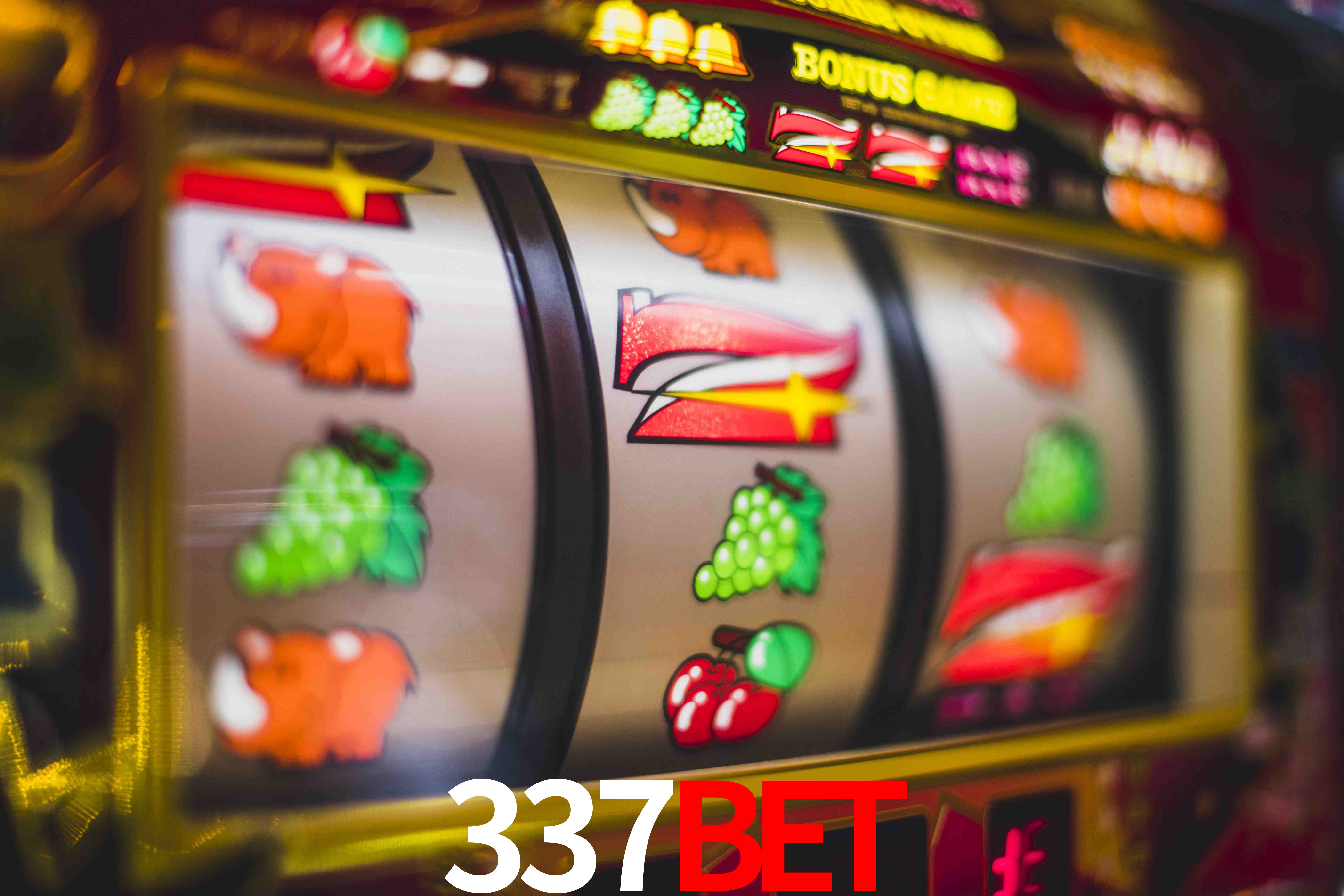 Crash Games Statistics 337bet